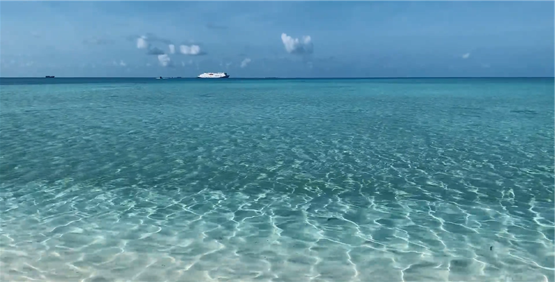 海洋邮轮 南海邮轮 海洋邮轮 南海邮轮