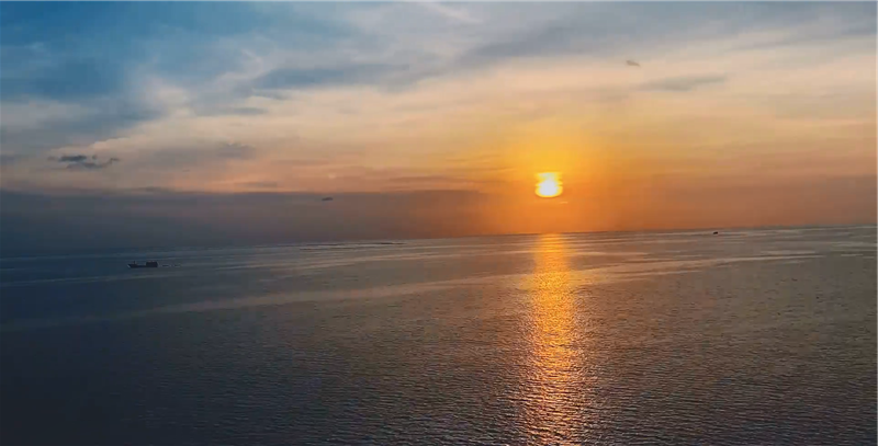 海洋邮轮 南海邮轮 海洋邮轮 南海邮轮