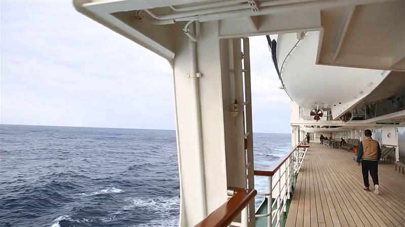 海洋邮轮 星旅远洋 海洋邮轮 星旅远洋