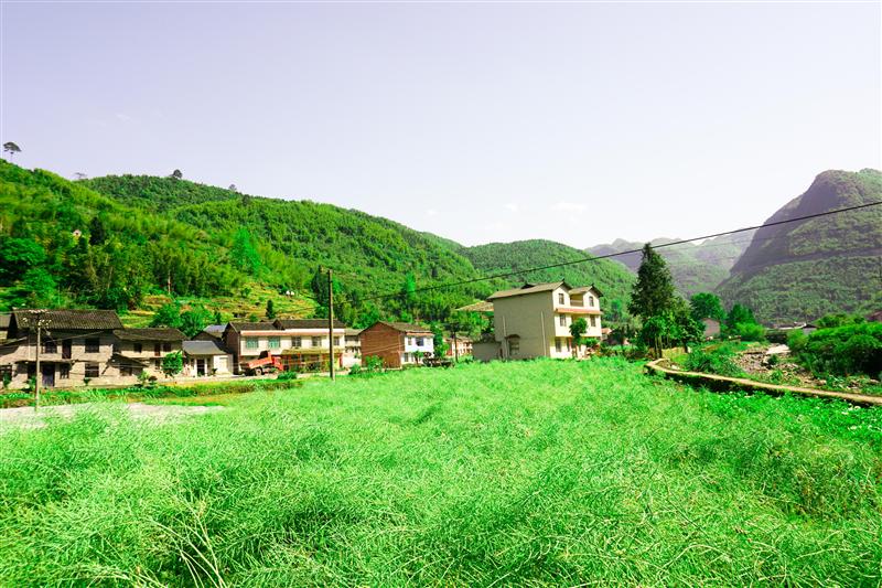 重庆 金佛山 爱必侬度假酒店 生态农场 重庆 金佛山 爱必侬度假酒店 生态农场