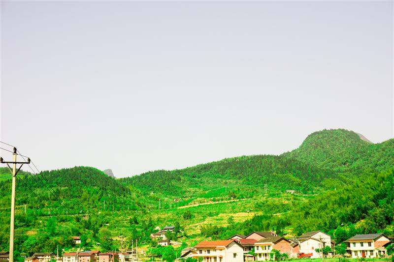 重慶 金佛山 愛必儂度假酒店 重慶 金佛山 愛必儂度假酒店