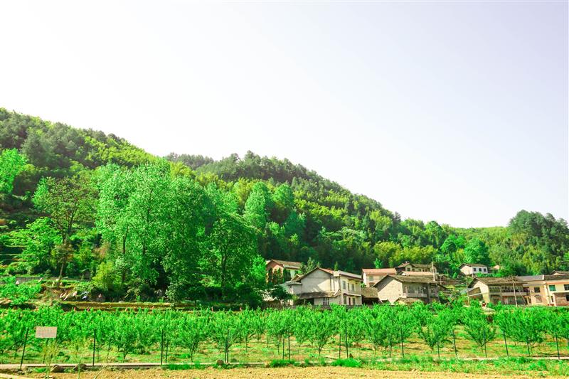 重庆 金佛山 爱必侬度假酒店 生态农场 重庆 金佛山 爱必侬度假酒店 生态农场