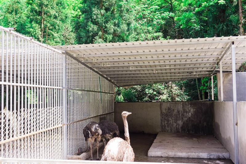 重庆 金佛山 爱必侬度假酒店 萌宠乐园 重庆 金佛山 爱必侬度假酒店 萌宠乐园