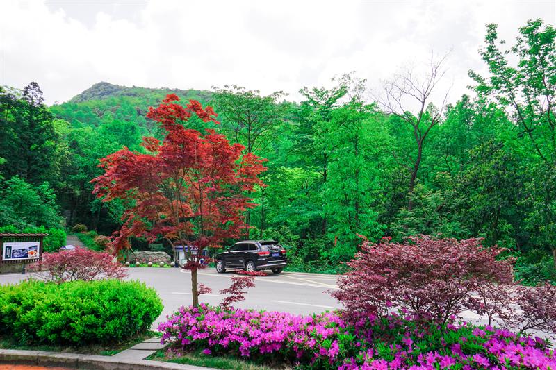 重庆 金佛山 爱必侬度假酒店 室外儿童乐园 重庆 金佛山 爱必侬度假酒店 室外儿童乐园