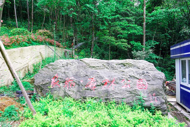 重庆 金佛山 爱必侬度假酒店 良渝森林公园步道 重庆 金佛山 爱必侬度假酒店 良渝森林公园步道