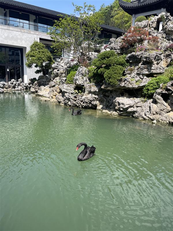 重慶 金佛山愛必儂度假酒店 重慶 金佛山愛必儂度假酒店