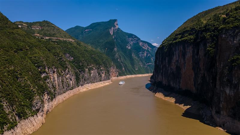 长江黄金6号 长江黄金6号