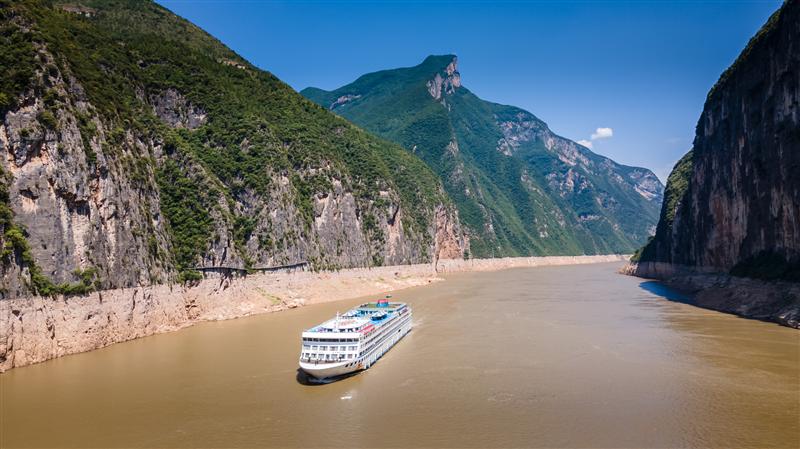 黃金6號 黃金6號