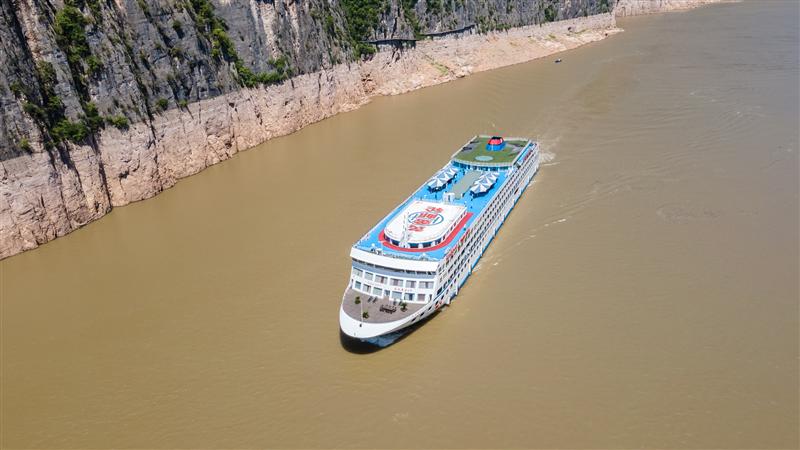 黄金六号 黄金六号