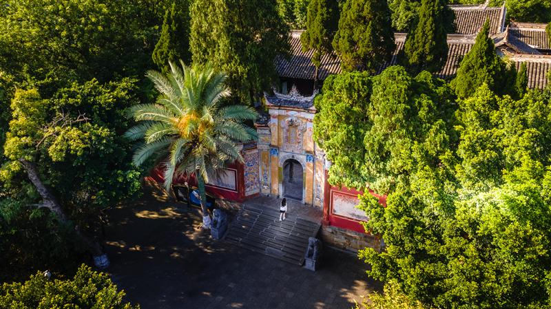 White God City White God City