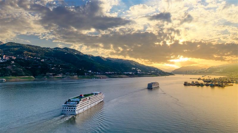 Yangtze River Golden No. 8 Yangtze River Golden No. 8