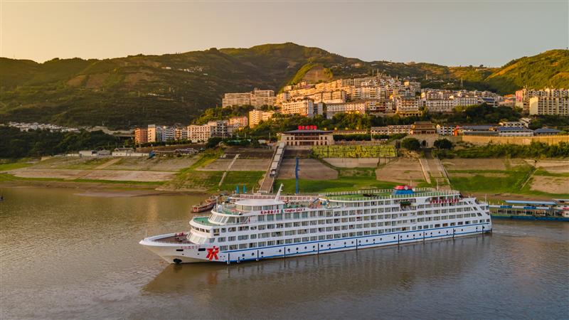 長江黃金8號 長江黃金8號