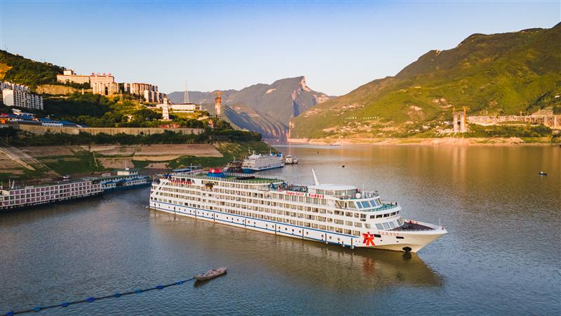 Yangtze River Golden No. 8 Yangtze River Golden No. 8