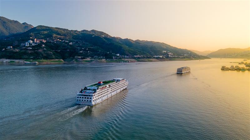 Changjiang Golden No. 8 Changjiang Golden No. 8