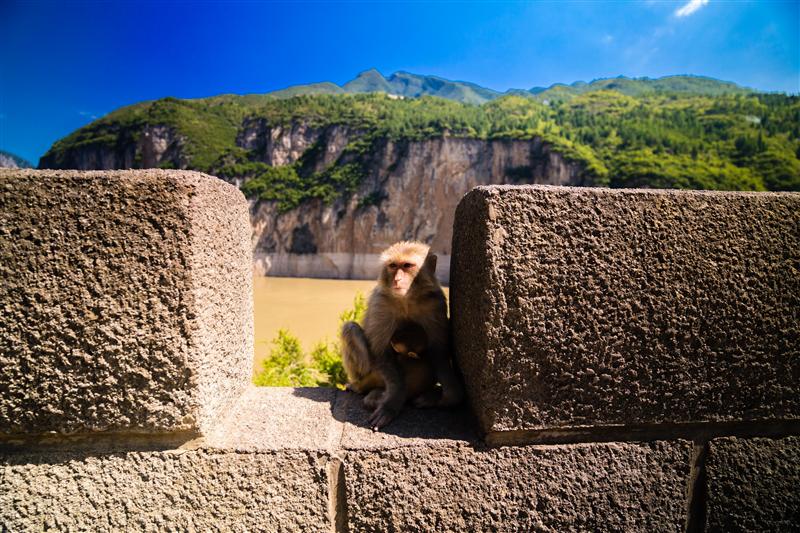 Kuimen Red Armored Building Kuimen Red Armored Building