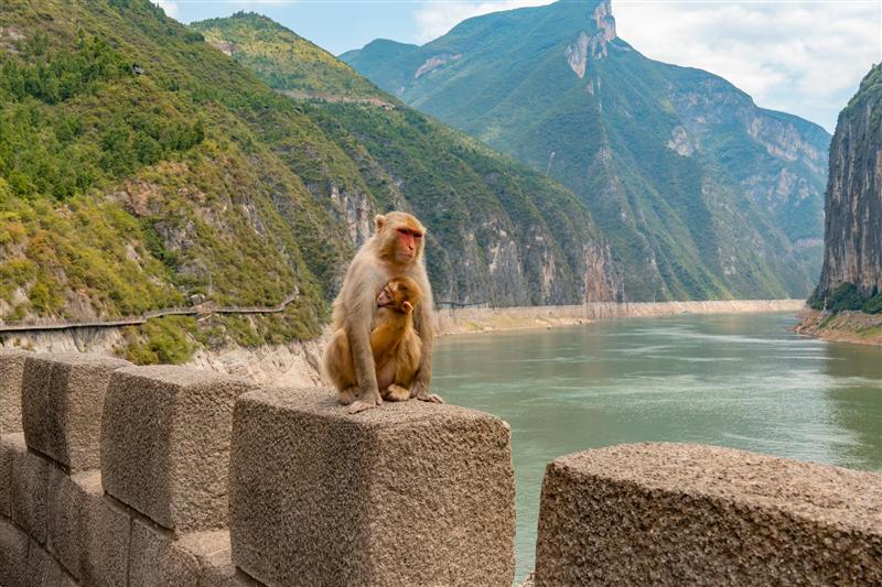 白帝城景区赤甲楼瞿塘峡 白帝城景区赤甲楼瞿塘峡