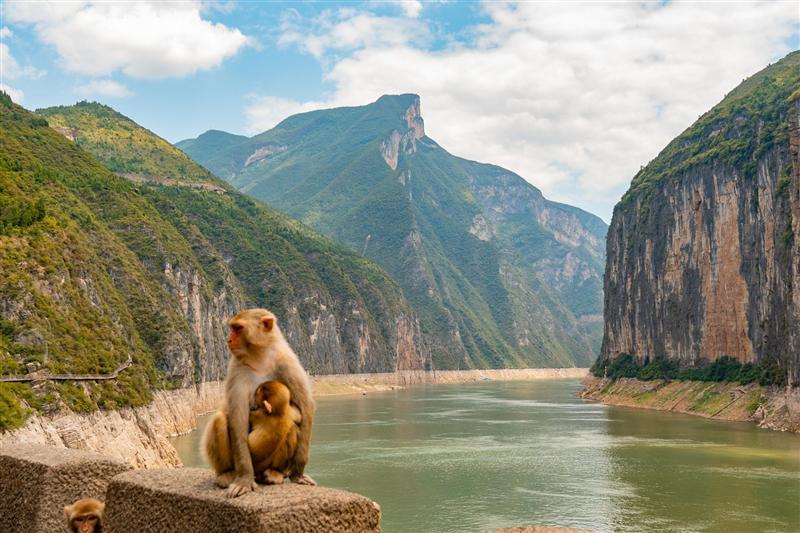 白帝城景区赤甲楼瞿塘峡 白帝城景区赤甲楼瞿塘峡