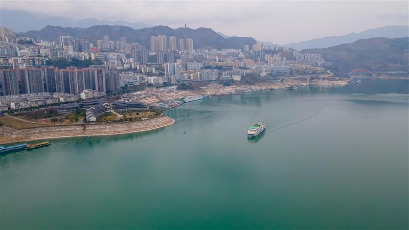 Royal Starlight Appearance Royal Starlight Appearance