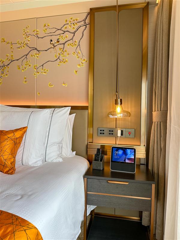 世纪绿洲总统套房 世纪绿洲总统套房