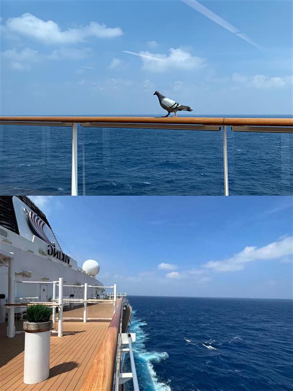 招商伊敦 招商伊敦