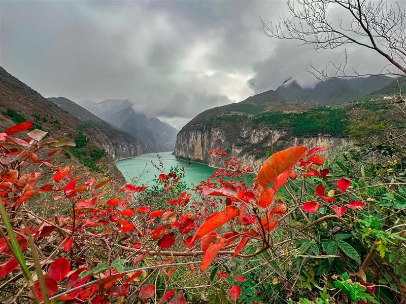 三峡奉节三峡红叶瞿塘峡夔门 三峡奉节三峡红叶瞿塘峡夔门