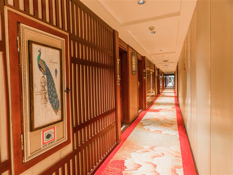 黄金5号走廊 黄金5号走廊