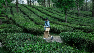 星光澜湄号 StarExpress素材 StarExpress 图库 目的地 滇西