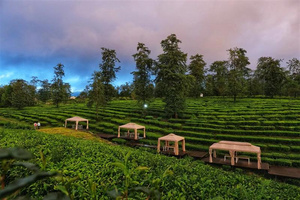 星光澜湄号 StarExpress素材 StarExpress 图库 目的地 滇西