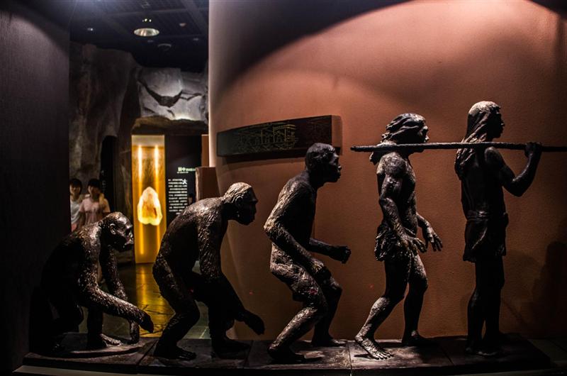 chongqing 重庆 重庆 重庆中国三峡博物馆 chongqing 重庆 重庆 重庆中国三峡博物馆