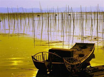 福建民居建筑一覽(1) 福建現存的是以明、清兩代為主的民居形式,不僅有規模宏大、富麗堂皇的“尚書第”、“大夫第”、“九廳十八井”等大型府第,也有聚族而居、粗獷雄偉的土樓、土堡,還有許多坐落在山坳林間、點綴在幽谷溪畔,建筑布局活潑自由的民間小舍,更有不少依山傍水、環境優美和諧、空間布局富有變化的民居建筑聚落。