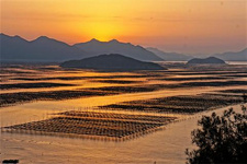 福建民居建筑一覽(3) 閩西多客家人,他們是一支長途跋涉輾轉遷徙的民系,具有特別強烈的宗族意識和正統觀念。體現在建筑上,就是聚族而居,講究禮制傳統。另外,閩西多山,隨山就勢,房屋多建于山腰,山谷間,與山林梯田河谷,融為一體。