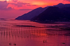 福建漳州旅游攻略