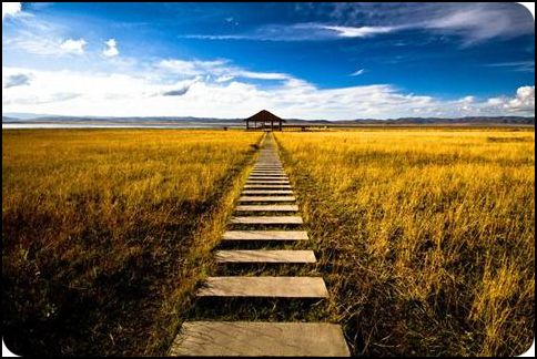 gansu 甘肅 碌曲 尕海湖