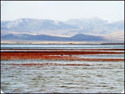 gansu 甘肅 碌曲 尕海湖