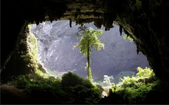 廣西賞櫻花的地方 隨著三月份的到來，春意漸濃，百花競相開放，櫻花也不甘示弱。我們所熟悉的櫻花首先會想到日本，日本街頭落櫻 繽紛的花海，十分幽香艷麗。在廣西也有不遜色于日本的櫻花，悄然開放，下邊小編就帶著大家看一下有哪些廣西賞櫻花的地點。