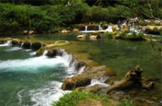 全世界最大櫻花基地就在貴州，貴州70萬(wàn)株櫻花浪漫盛放！ 就在咱重慶隔壁的這一處櫻花園 已經(jīng)悄悄盛開(kāi)啦！ 它是世界上最大櫻花基地 被BBC稱為“藍(lán)色星球上最美櫻花園” 