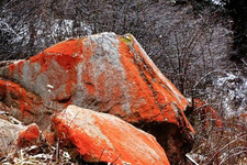 四川旅游景區2020暑期優惠活動精選 四川旅游景區2020暑期優惠活動精選：暑期即將來臨，為進一步提升暑期旅游市場，四川多家景區相繼出臺2020年暑期優惠政策。其中以下2家景區尤為值得關注。