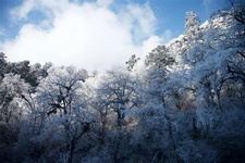 海螺溝農家樂推薦(3) 海螺溝農家樂推薦(3)10.海螺溝