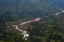 海螺溝門票價格及注意事項 海螺溝門票價格及注意事項:海螺溝位于四川省甘孜藏族自治州東南部,貢嘎山東坡,以低海拔現代冰川著稱于世。近年來,海螺溝景區門票和觀光車票價格經多次調整,最終確定如下: