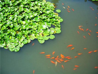 杭州周邊高顏值民宿推薦，溫泉壁爐一個都不落下 上有天堂，下有蘇杭，在杭州的周邊隱匿著許多獨具特色的民宿，今天就為你推薦幾家超溫暖的民宿，約上幾個朋友一起喝茶聊天看電影吧。