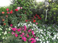 春季杭州旅游賞花線路推薦 春季杭州旅游賞花線路推薦，記憶中的江南春色，最先當是記憶中的杭州。《四時幽賞錄》中有說道，“孤山月下看梅花，八卦田看菜花，虎跑泉試新茶，西溪樓啖煨筍，保俶塔看曉山，蘇堤看桃花”。