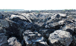 大連旅游之開啟美食副本 在飽覽大連濃郁的異域情調之后,朋友間的一場饕餮盛宴才是犒賞自己的最好方案。下面跟著小編,開啟大連旅游之美食副本: