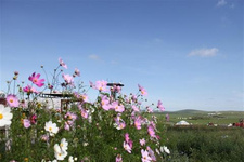 国内著名雪乡TOP10（四）