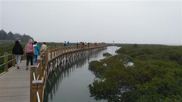 廣西北海避寒怎么玩？（1） 冬季在北海，到處都能感受到陽光海灘的溫暖與熨帖。先飛南寧再到北海也可以，因為兩城間僅需一個多小時的動車。既然如此，就讓我們一起飛到北海避寒，踏足這座百年老城，品一品千年文化的精髓。