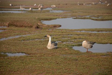 南昌一日游記(1) 南昌一日游記(1)在南昌要住兩晚,頭一天到,第二天玩,第三天走。所以,南昌一日游計劃在這主要玩兩個景點--滕王閣和八一南昌起義紀念館。