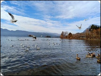 中國云南瀘沽湖 里務比島 冬天 陸維