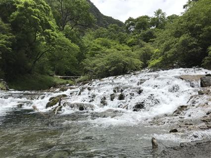 中国四川 阿坝松坪沟13 月 陈思宇