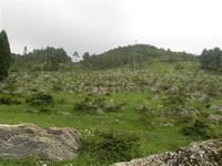 新年石柱黄水赏雪攻略