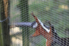 马来西亚沙巴旅游行程全攻略