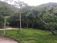 越南峴港好玩嗎？這些景點要知道 現在的年輕人大多都喜歡去國外旅游，但是國外游也有一個最大的缺點，就是時間太短了沒有辦法去比較遠的地方。所以大多數年輕人去國外旅游也會選擇一些跟國內相鄰的國家，比如說日本，越南，泰國等等一些國家。這些國家的文化特色還是很特別的，也吸引了不少游客前往，比如說越南這個國家就很有意思，這邊的消費比較低，很適合一些打工族前去游玩。